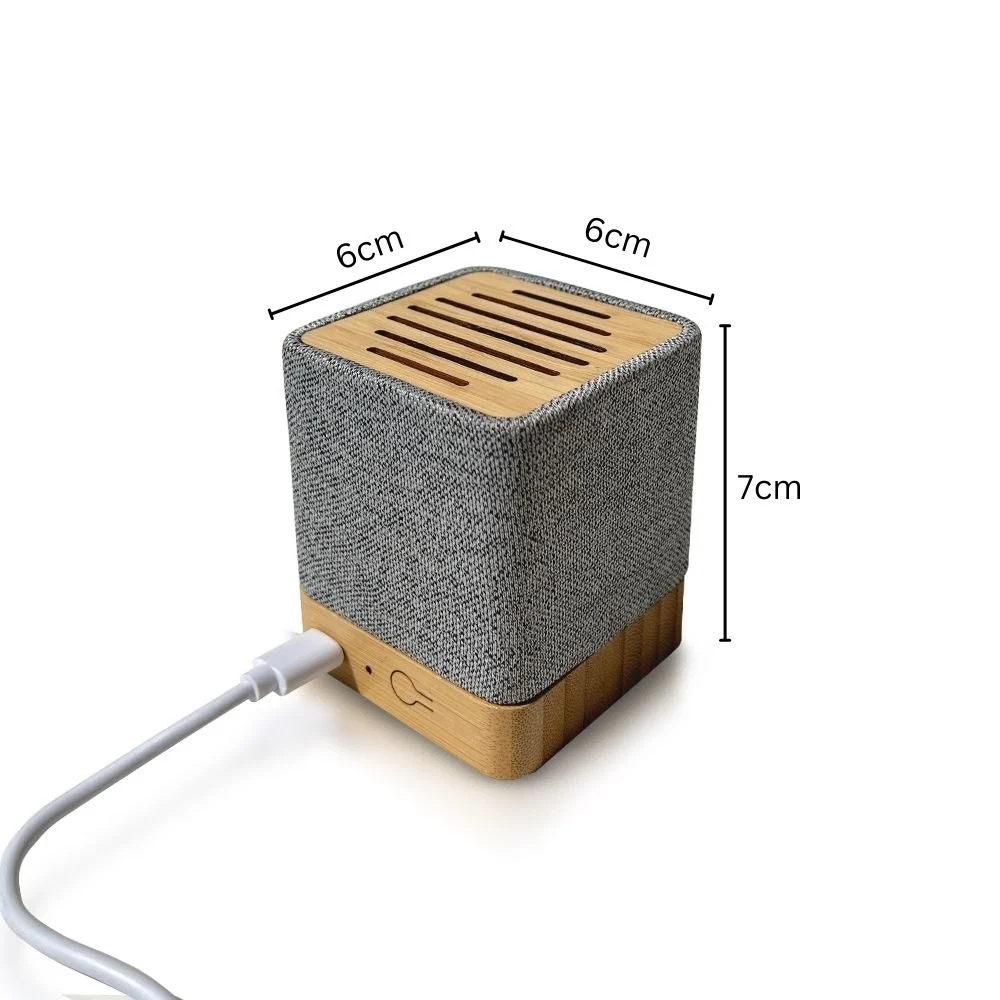 1747043798_speakers2