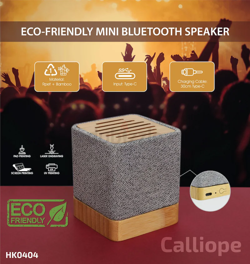 1747043800_speakers6